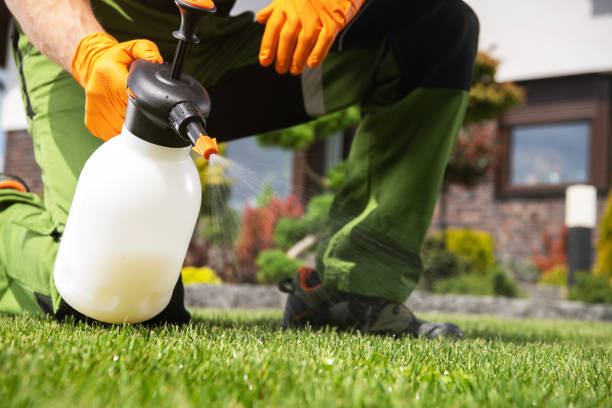 Best Commercial Pest Control Services  in Firebaugh, CA